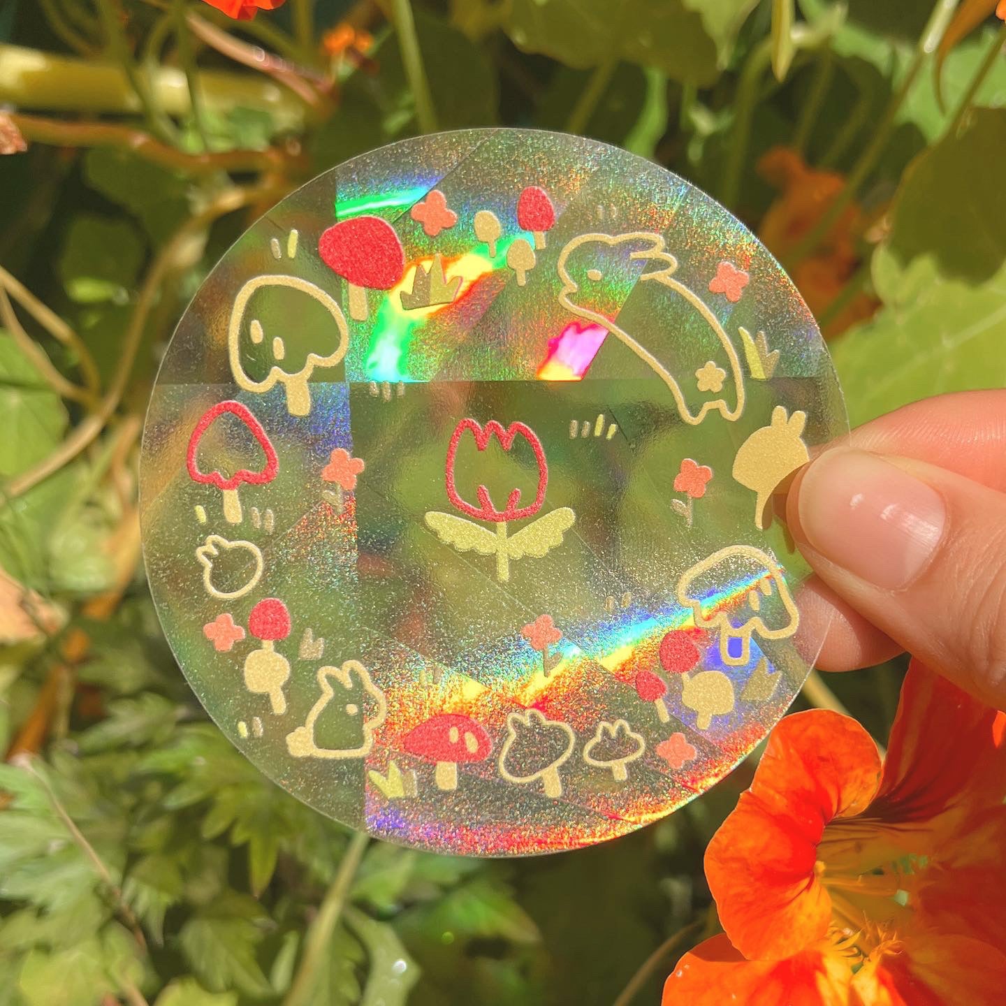 Rainbow Catcher Decals