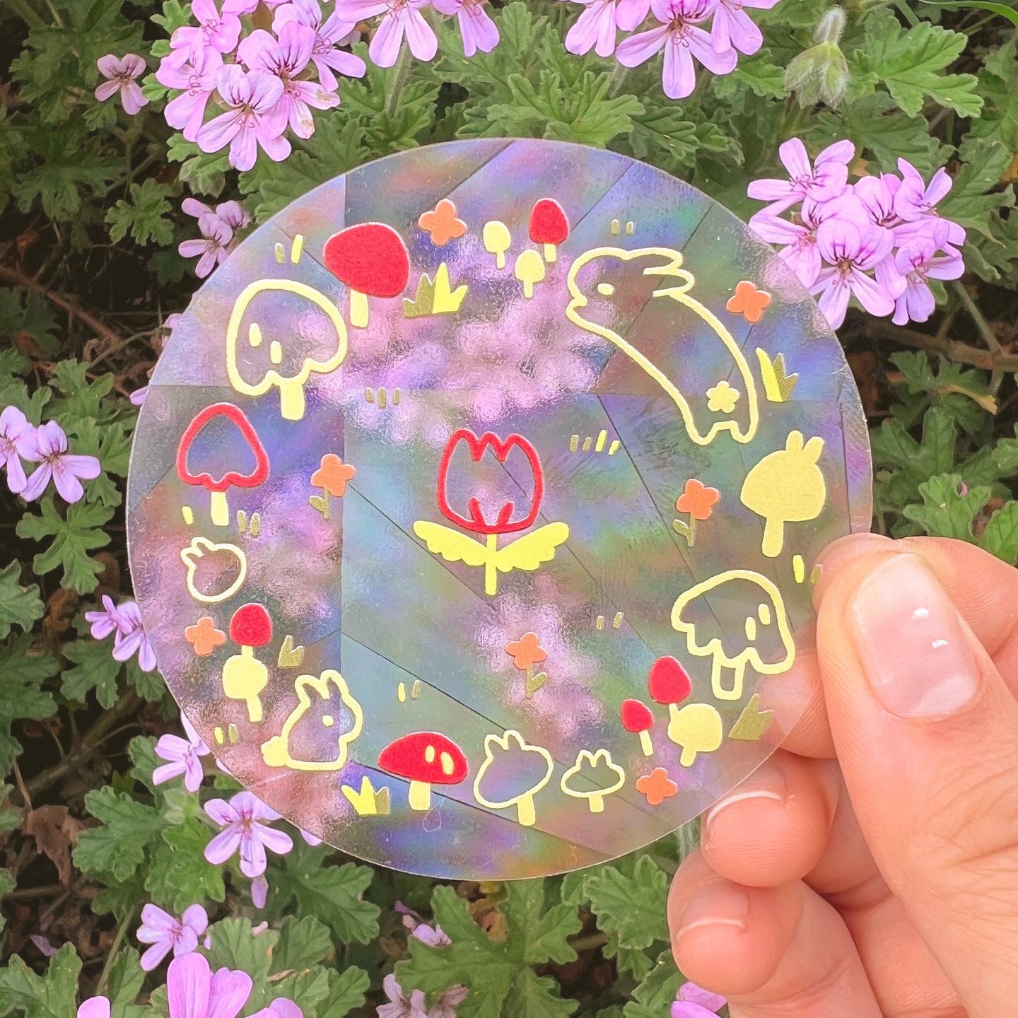 Rainbow Catcher Decals