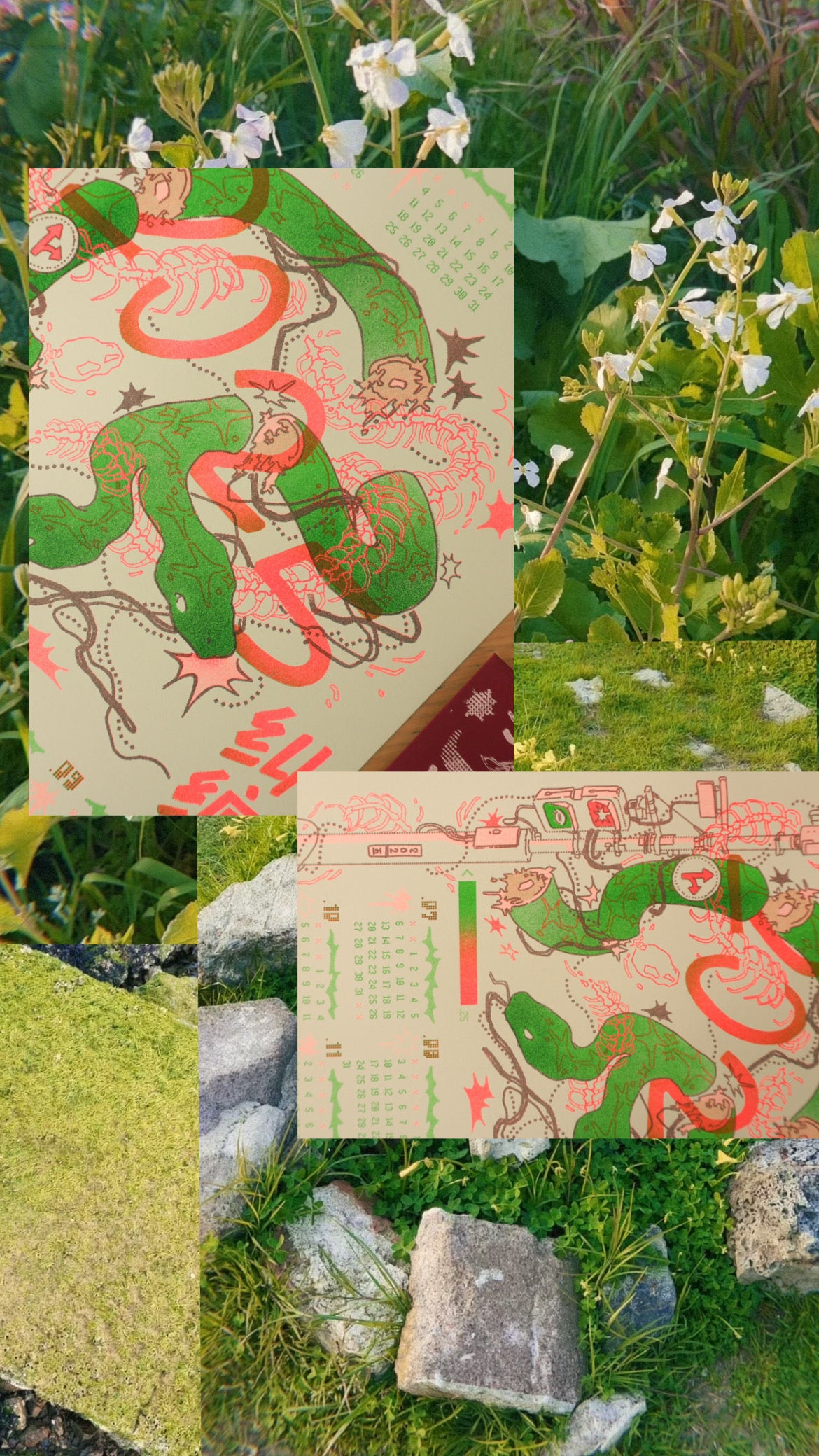 *2025- 2026 School Year of Snake Riso Calendar