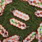 Tomato Jet Tag