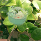 Gachapon Trinket Stickers